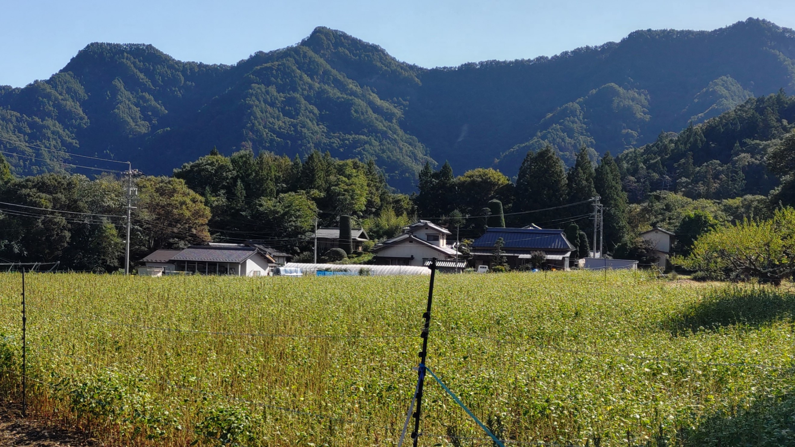 展望の穴場「京ヶ倉」　下山中に名古屋市の51歳の女性が転倒　自ら消防に救助を要請　足首を骨折の模様