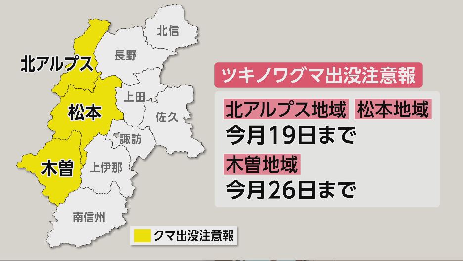 クマ目撃件数が急増　木曽地域に「ツキノワグマ出没注意報」　「生ごみは収集日の朝に出す」などクマを引き寄せない対策を呼びかけ