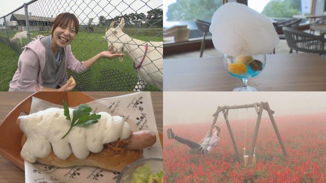 自然の中でリフレッシュ！秋のおでかけスポット